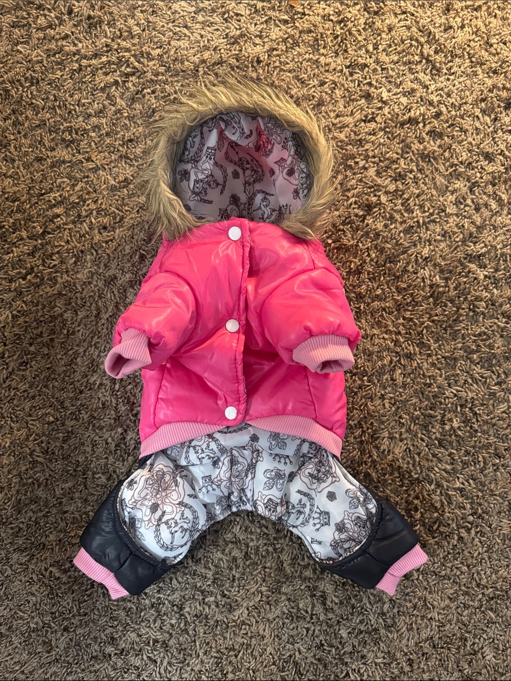 Dog snowsuit